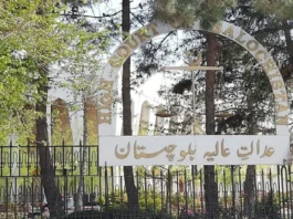 بلوچستان کوٹے پر FBR ملازمین کی بھرتی کا معاملہ ہائی کورٹ پہنچ گیا