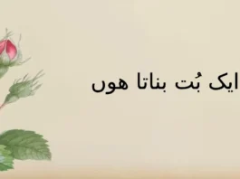 روز ایک بُت بناتا ہوں